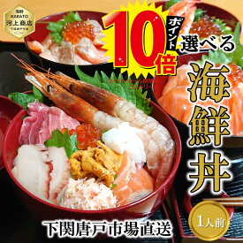 ＼ポイント10倍！スーパーセール期間中／ 父の日ギフト 海鮮丼 セット 1人前 海鮮丼の具 自然解凍OK 4種から選べる 海鮮ちらし 炙りサーモン サーモン まぐろ エビ イカ うに イクラ カニ タコ 海鮮グルメ 御祝 お誕生日祝 プレゼント 御礼 1人暮らし 送料無料 下関唐戸市場
