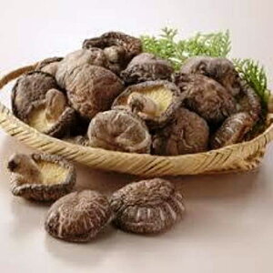 Ԃő1kgiYj  VC^P ̂ LmR {Y Y O   