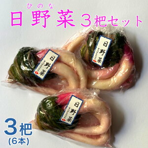 �����3�f�Z�b�g�@ ���s �Ђ��� ������ ���Е� �������� �M�t�g ���� ���y�Y �����̂܂� ���т̂��� ������ �O���� �V�� ����� �Ђ̍� ����ؒ�