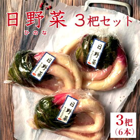 日野菜3杷セット　 京都 漬け物 つけもの 京漬物 送料無料 ギフト 腸活 京土産 お酒のつまみ ご飯のお供 お取り寄せ グルメ 老舗 日野菜 ひの菜 日野菜漬