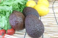 ペルー産　アボカド（1個）