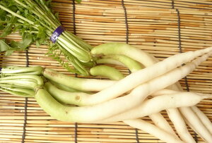 y̓`؁zs{Y@卪(1A5{)