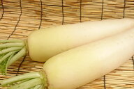 徳島県産他　大根（LL）1本