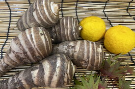 【ブランド京野菜】　京都府産　海老芋（3Lサイズ　1kg）