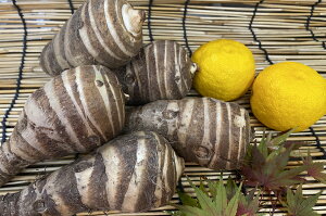 Vyuh؁z@s{Y@CVi3LTCY@1kgj