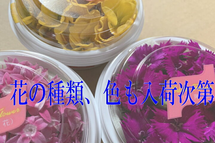 楽天市場 愛知県産 エディブルフラワー 食用花 京野菜 錦 川政