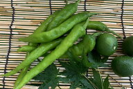 【ブランド京野菜】　京都府産　伏見とうがらし(100グラム入）