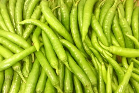 【ブランド京野菜】　京都府産　伏見とうがらし（1キロ入）