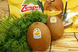 j[W[hYS[hLECt[ciMTCYA2j