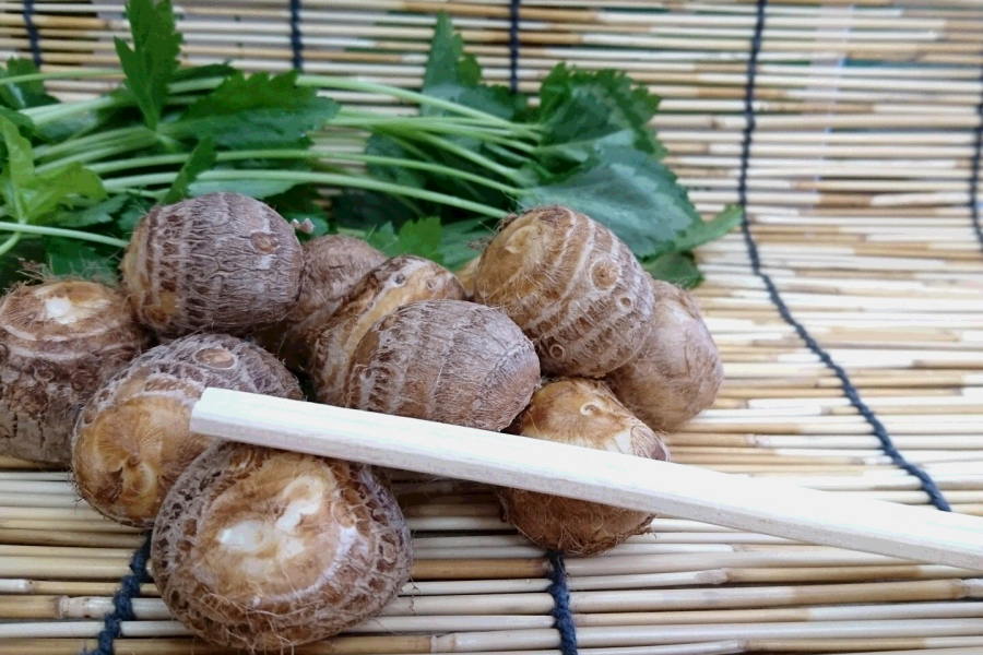 新着 いつでも送料無料 京都丹後産 浜詰小芋 約20個 Ｓサイズ２００ｇ 人気急上昇