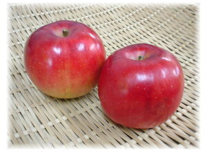 【新着】長野県産 紅玉 林檎(12個入り)