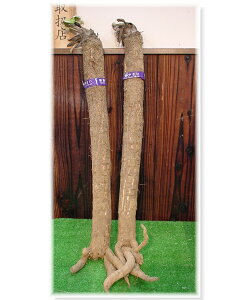 yuh؁z@s{Y@x삲ڂiMj1{