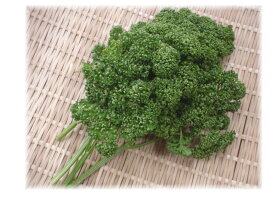長野県産他　パセリ（50g）