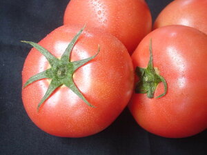 򕌌Y@Yg}giLTCYA24j