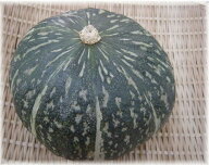 北海道産　栗かぼちゃ　えびす(1個）