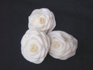 ؂A׍H؁@kCY@ԕSi5j