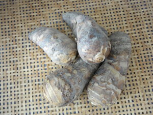 yVzY@CV@1kgiLTCY@3|5{j