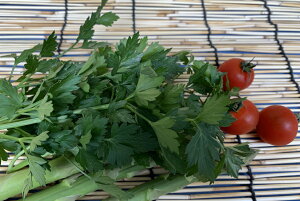 ���m���Y���@�h���I�n�[�u�h�@�C�^���A���p�Z��