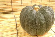 【旬のオススメ】石川県産他　菊南瓜(黒皮南瓜）1個