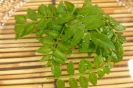 滋賀県産他　木の芽（小箱）
