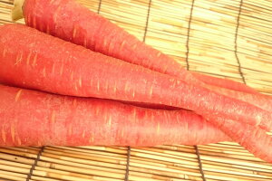 yVz쌧Y@ɂ񂶂iLLj1{