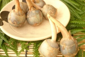 yVzLY@R̂킢@MTCY@i200gj