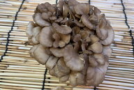 三重県産他　舞茸（マイタケ）【1pk】
