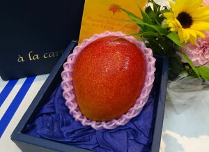 �y�{�̃I�X�X���z�{�茧�Y�@���n�}���S�[�i4L�A1����j