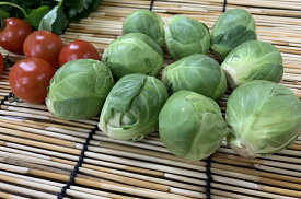 【旬のオススメ】静岡県産　メキャベツ（200g）