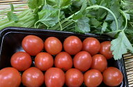 北海道産他　ミニトマト【1pk】