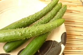 高知県産他　もろきゅう（1pk）