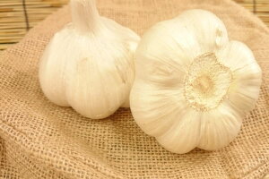 【新着】青森県産他 にんにく (1個)2Lサイズ