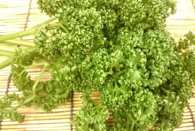 長野県産他　パセリ（200g）