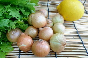 y{̃IXXzkCY@yRX(yeBIjIji200Oj