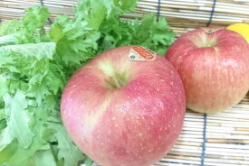 長野県産他　サンふじりんご（1個）