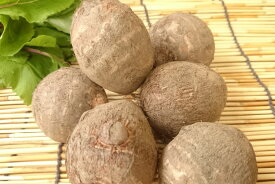 【旬のオススメ】愛媛県産　里芋（Mサイズ）（500g　約7ー10個入）