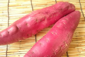 【旬のオススメ】徳島県産　鳴門金時さつま芋（Lサイズ　約220g1本入り）