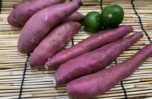 y{̃IXXzY@܈i2STCY@500gj