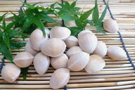 【旬のオススメ】熊本県産　新銀杏（500g）3Lサイズ