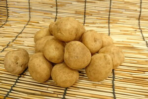 y{̃IXXzkCY@n鏒(VႪj@STCY@500g