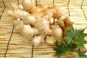 高知県産 土生姜(1kg)