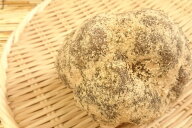 【ブランド京野菜】京都府産　丹波やまのいも(1個入り、約400g)