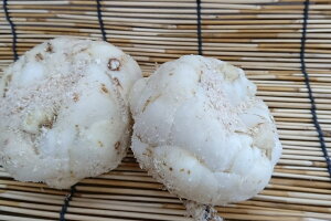 yIXXzkC^YAS( 3LTCY@1j