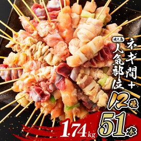 【期間限定5%OFFクーポン＆ポイント5倍！】宮崎県産若鶏 やきとり 人気部位串セット＆ネギまセット 計51本 肉 鶏肉 宮崎県産若鶏 焼き鳥 BBQにも最適 九州産 宮崎県産 おうち時間 おうちごはん バーベキュー キャンプ 送料無料 川南町