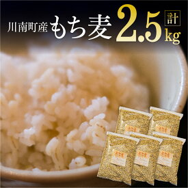 【楽天スーパーSALE期間限定！ 10％OFF！】もち麦 2.5kg（500g×5袋）