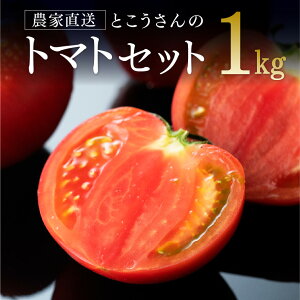 yr[ŃN[|QbgIz{茧YƂ܂ Ƃ̃g}g1kg(9`18)