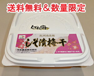 ~yz(Д~)󂠂肭~500gve[IB썂~/킯/n