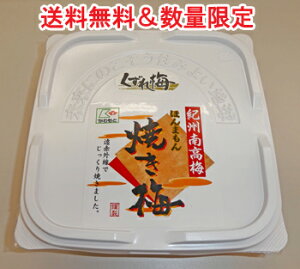 yz(Ă~)󂠂肭~500gvemIB썂~/킯/n