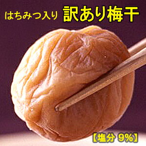 yz~󂠂肭~500gvemIB썂~/킯/n