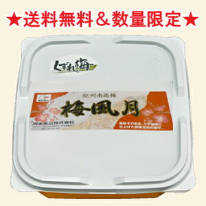 yz~(~)󂠂肭~500gve[IB썂~/킯/n